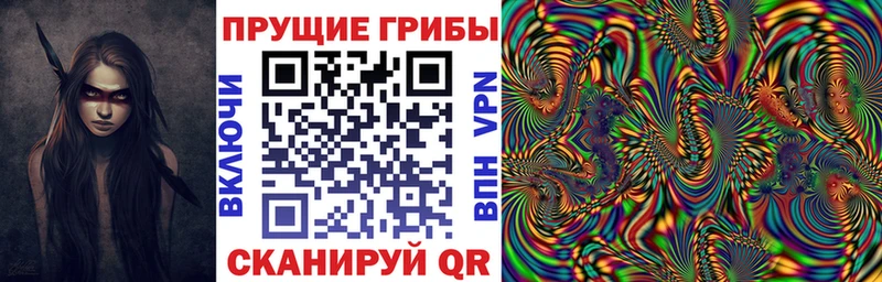 Псилоцибиновые грибы Psilocybe  даркнет сайт  Миньяр 